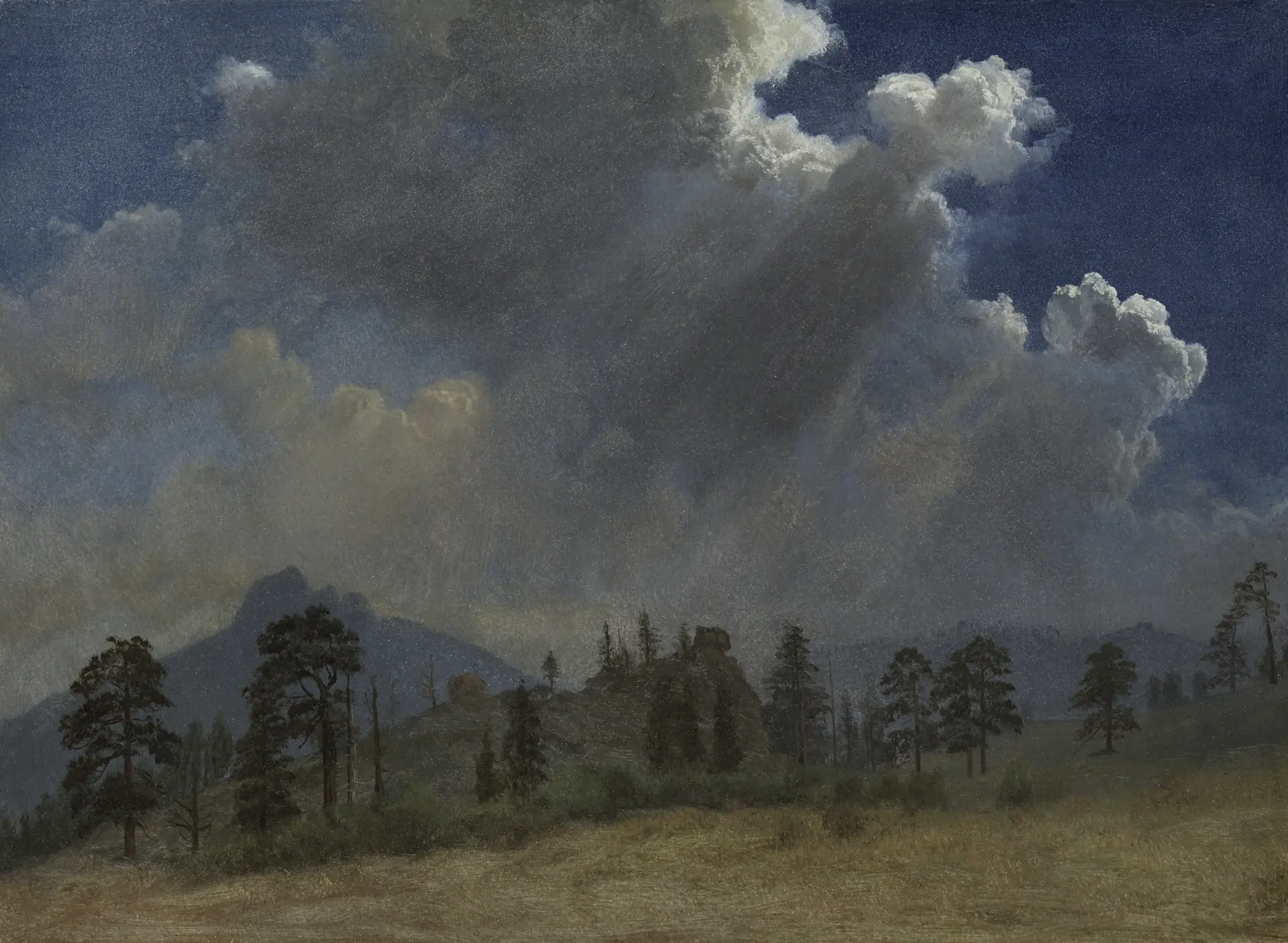 Fir Trees and Storm Clouds by Albert Bierstadt